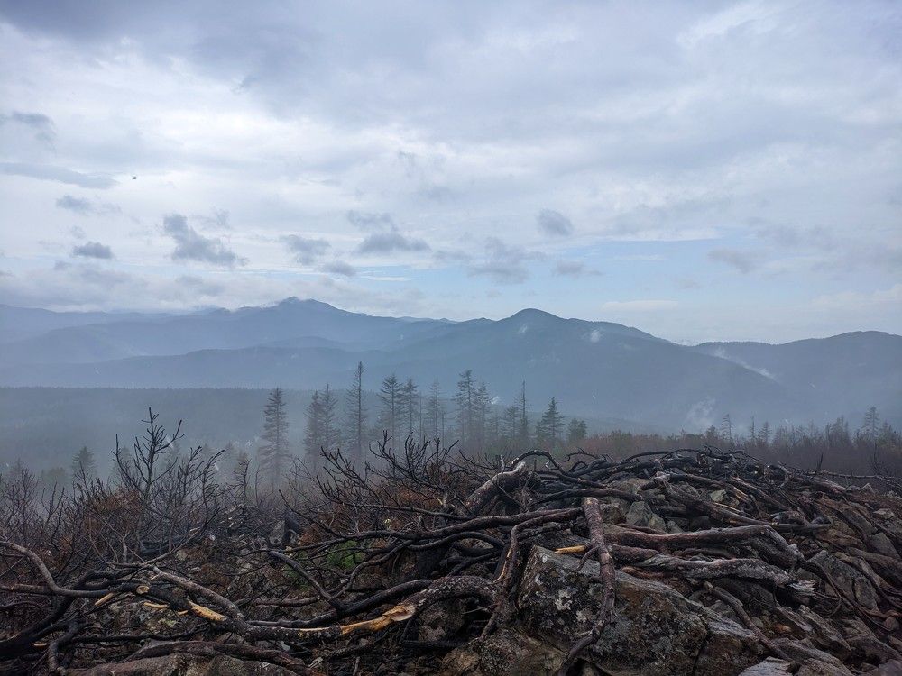 Фотография автора IRINA FILIPPOVA