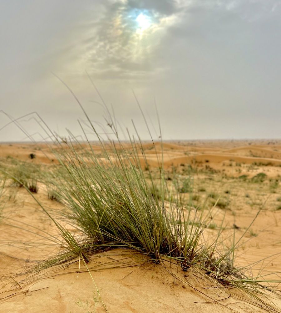 Photograph by Олег Травин