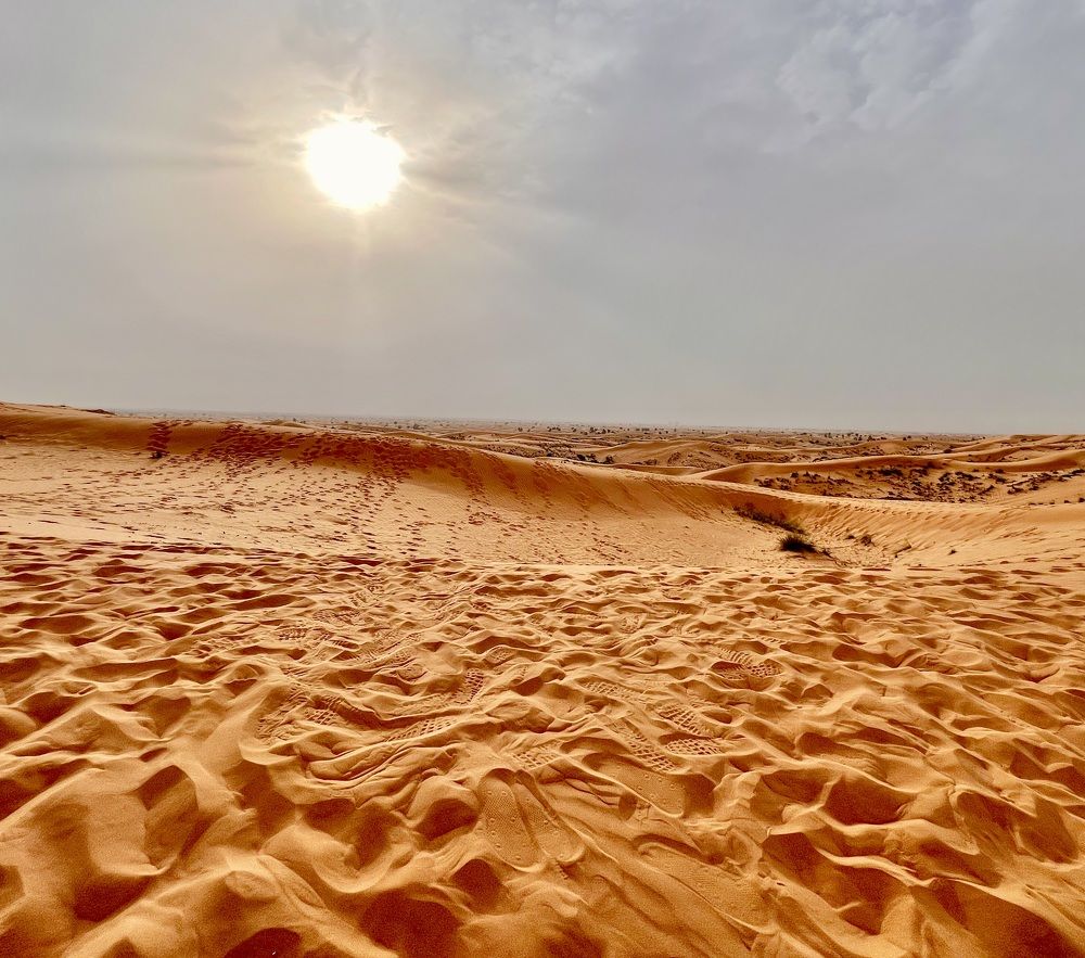 Photograph by Олег Травин