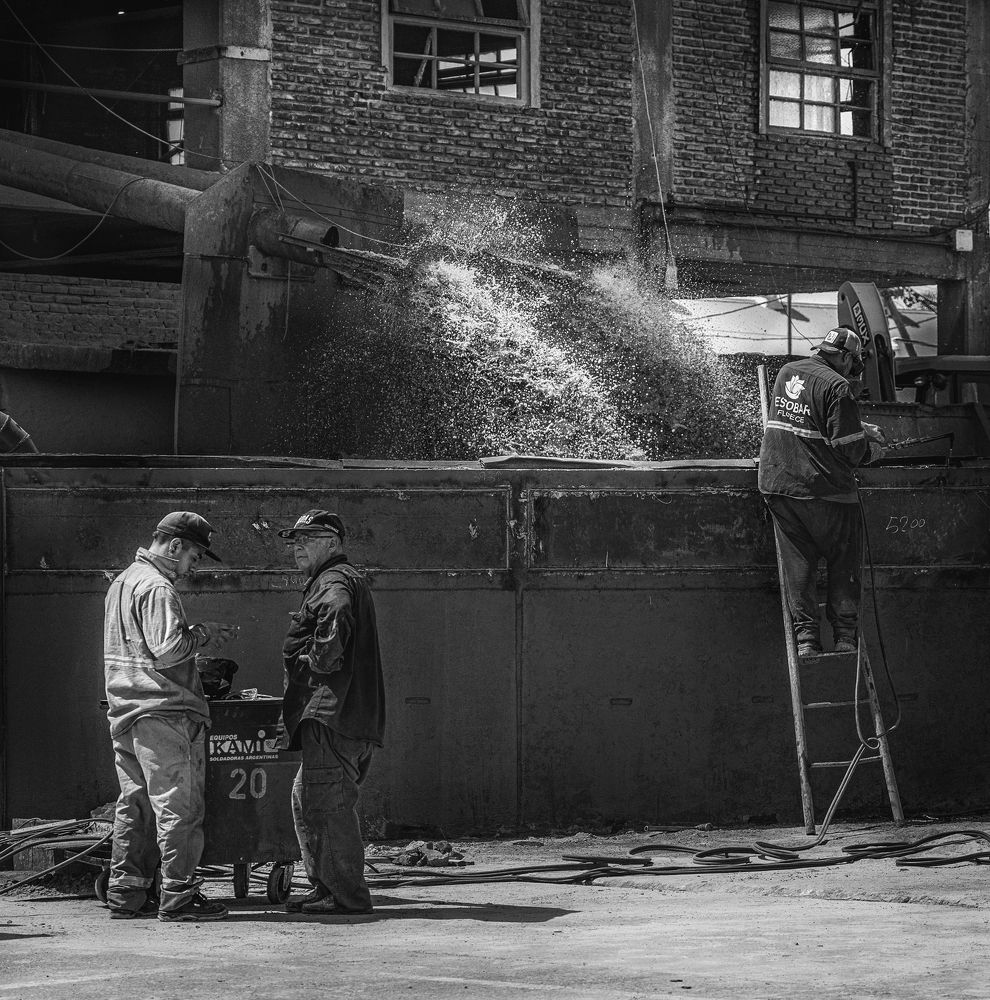 Фотография автора Carlos Gianoli