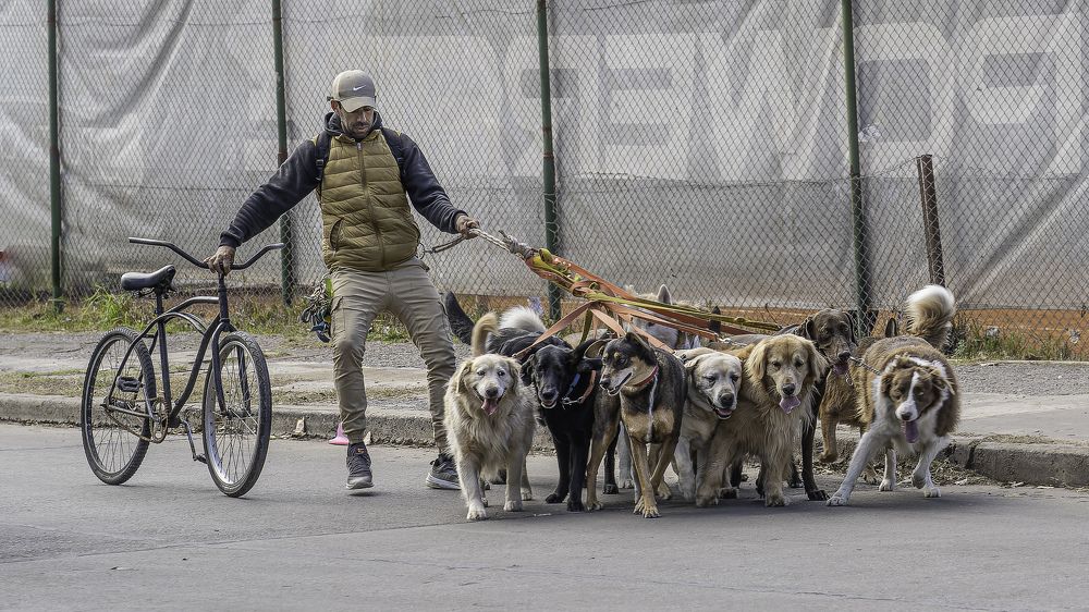 Фотография автора Carlos Gianoli