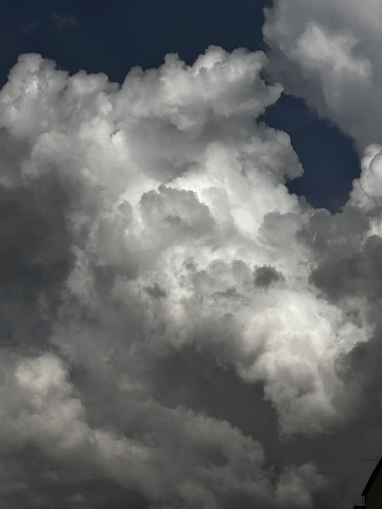 Фотография автора Роман Прохоров