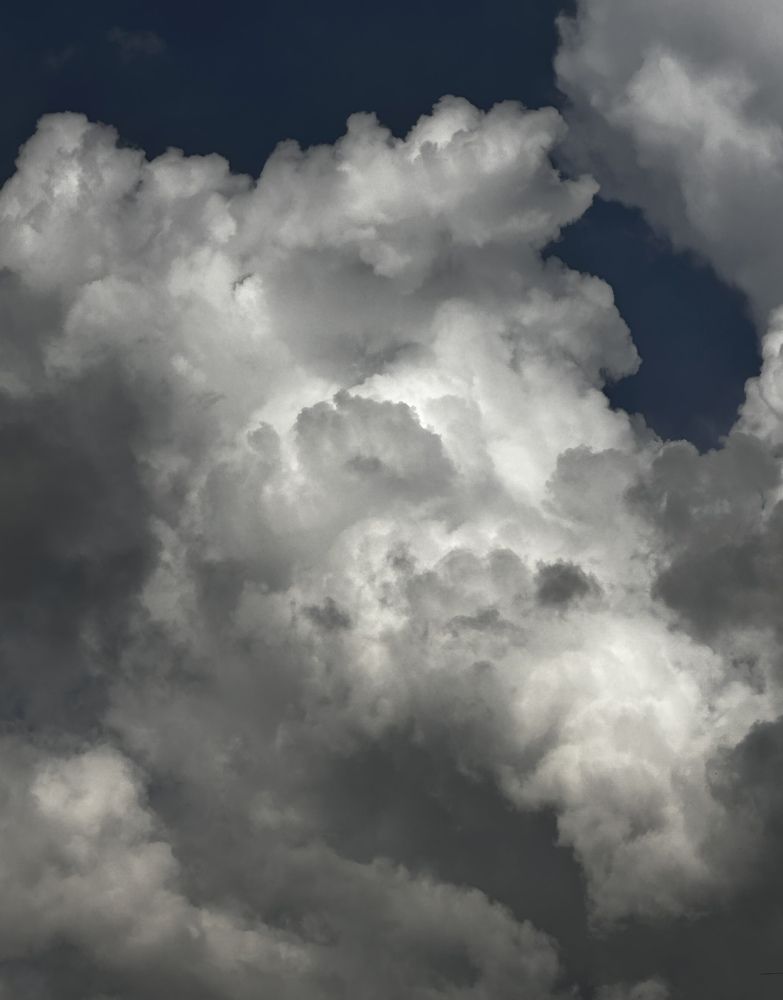 Фотография автора Роман Прохоров