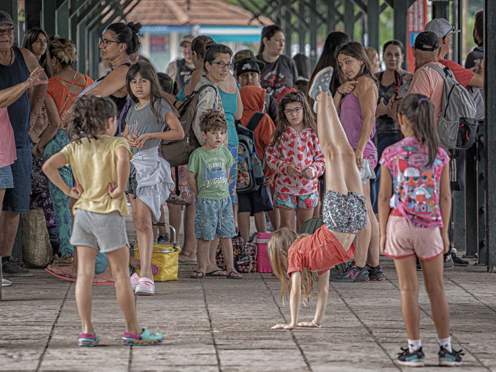 Фотография автора Carlos Gianoli