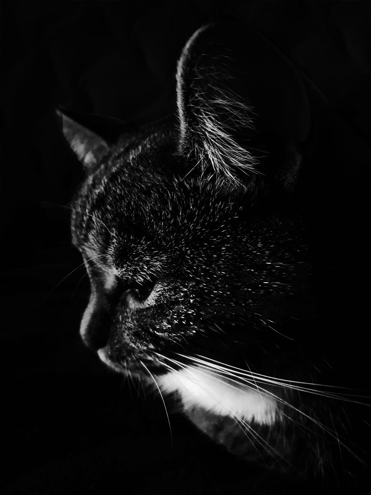 Photograph by Nataliya Kalinina