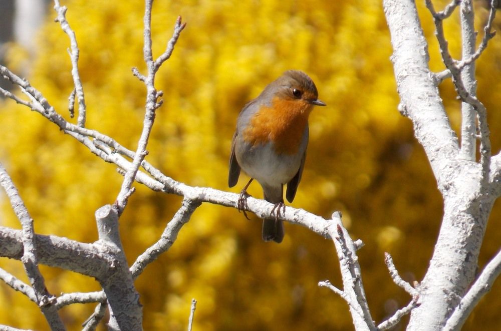 Photograph by Olja Simovic