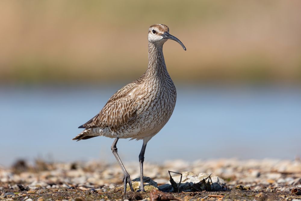 Photograph by crashfil