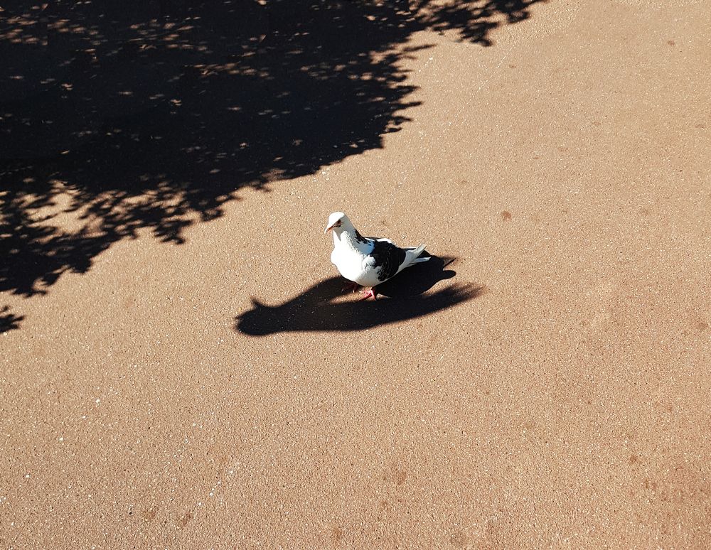 Photograph by Nataliya Kalinina