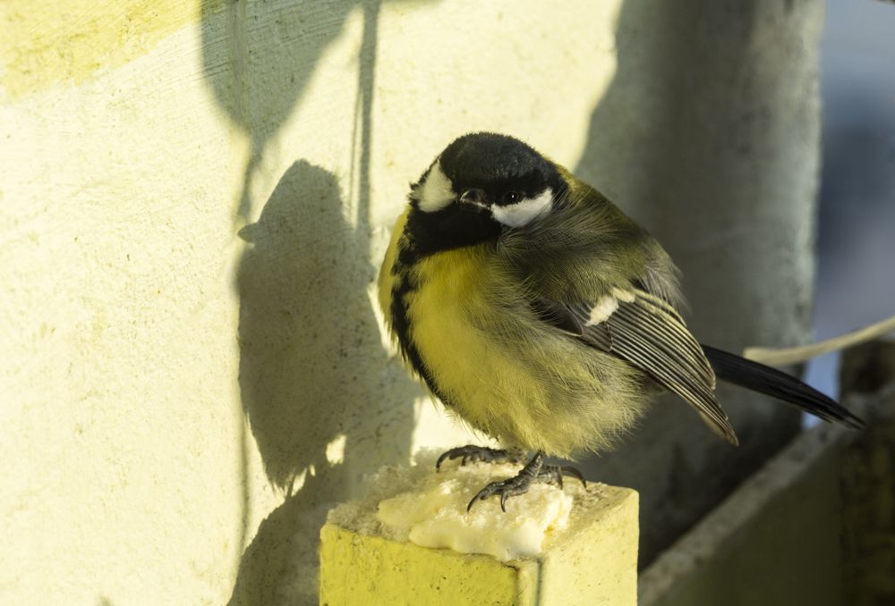 Photograph by Alexandra Chalova