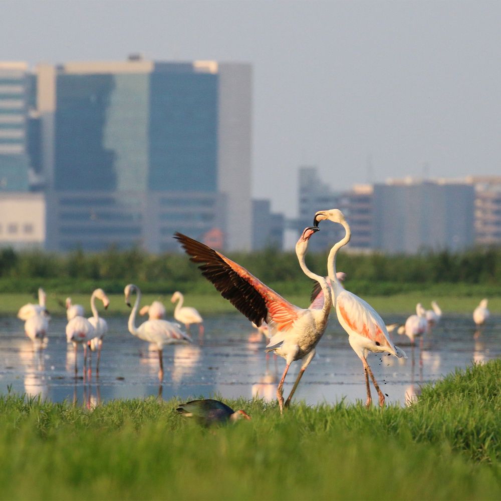 Photograph by LOKANATH MUDA