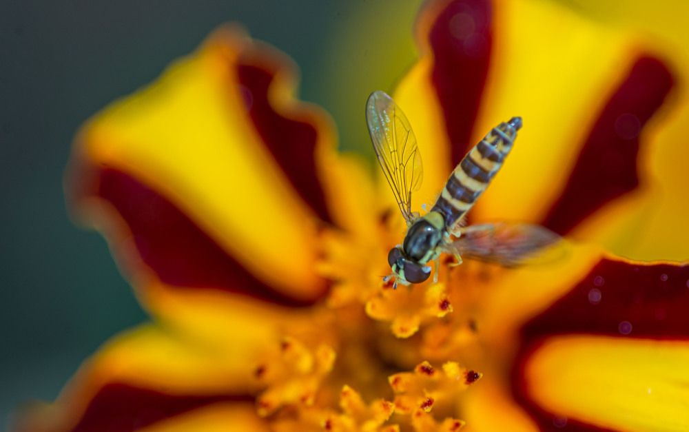 Фотография автора Дмитрий Брюхов