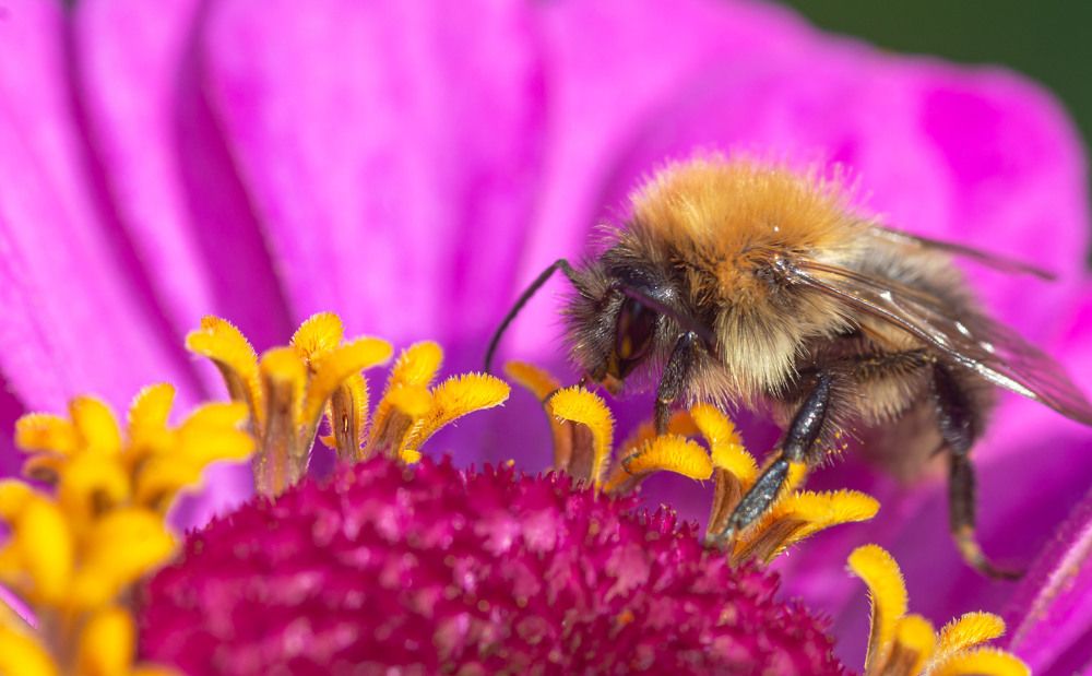 Фотография автора Дмитрий Брюхов