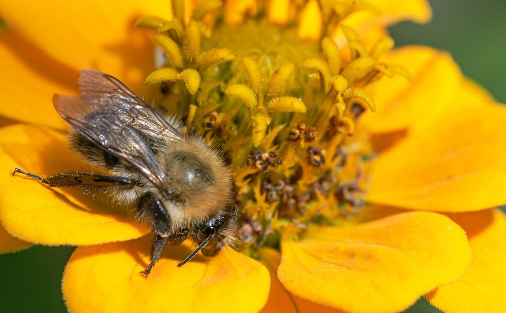 Фотография автора Дмитрий Брюхов