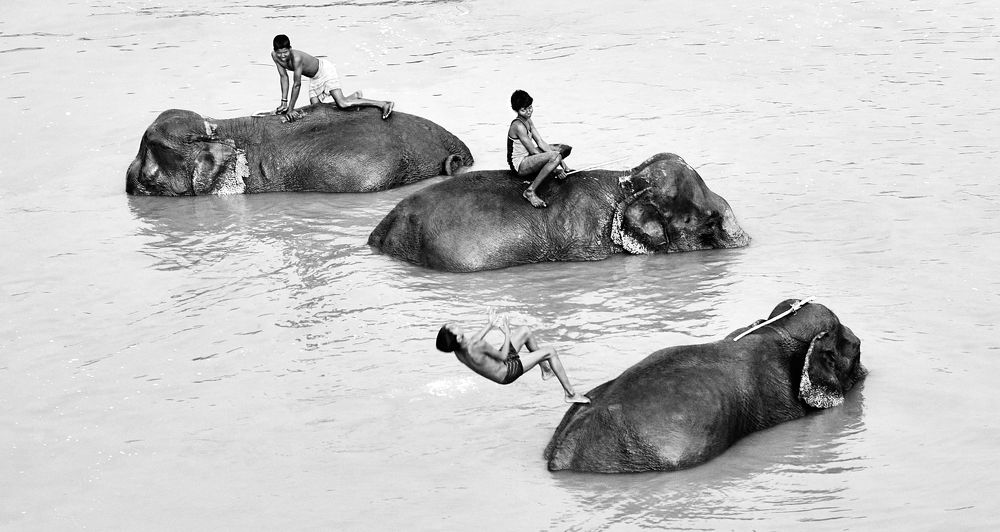 Большой друг