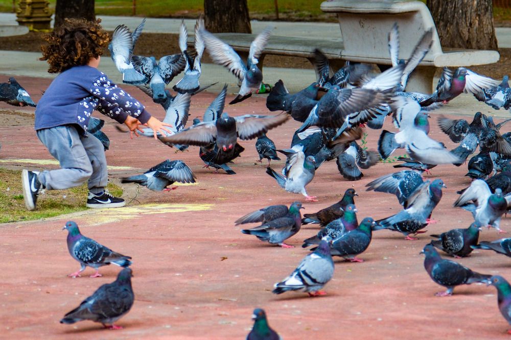 Photograph by Сергей Аверченко