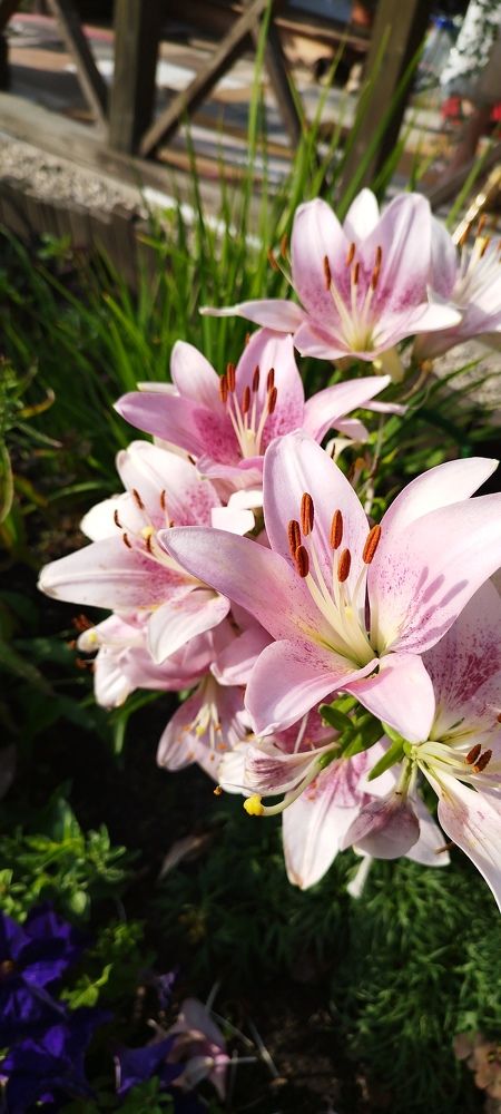 Photograph by роман меринов