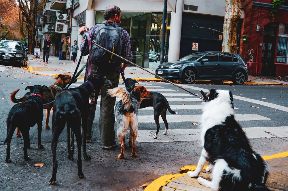 Photograph by Сергей Аверченко