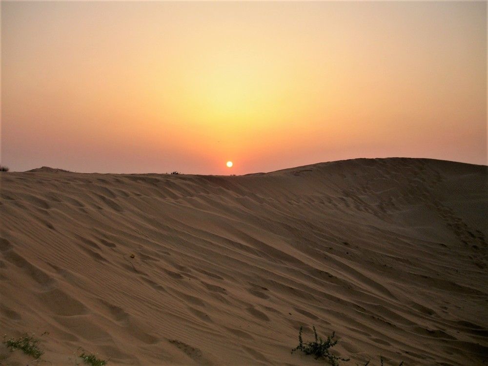 Photograph by Мила Милая