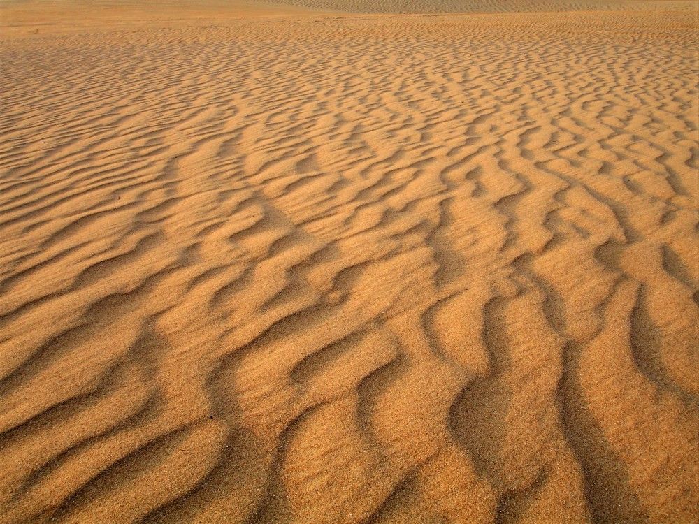 Photograph by Мила Милая