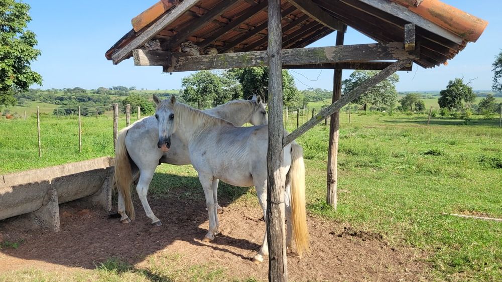 Photograph by Gilson Marcos Ferreira de Oliveira Oliveira