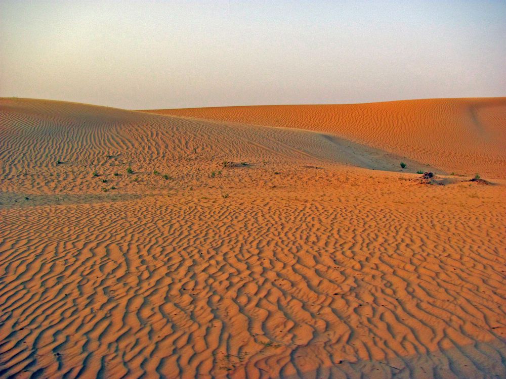 Photograph by Мила Милая