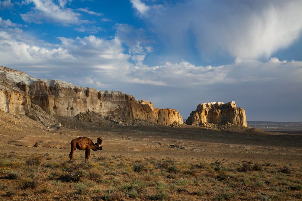 Фотография автора Andrey Shishkalov