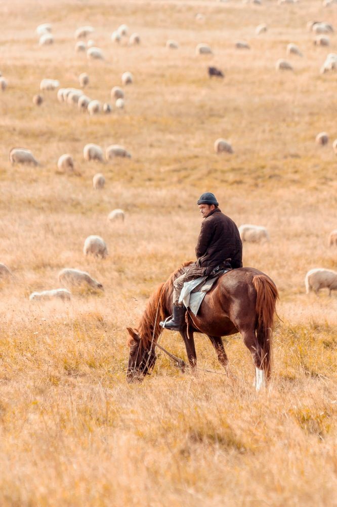 Photograph by Николай Зорин