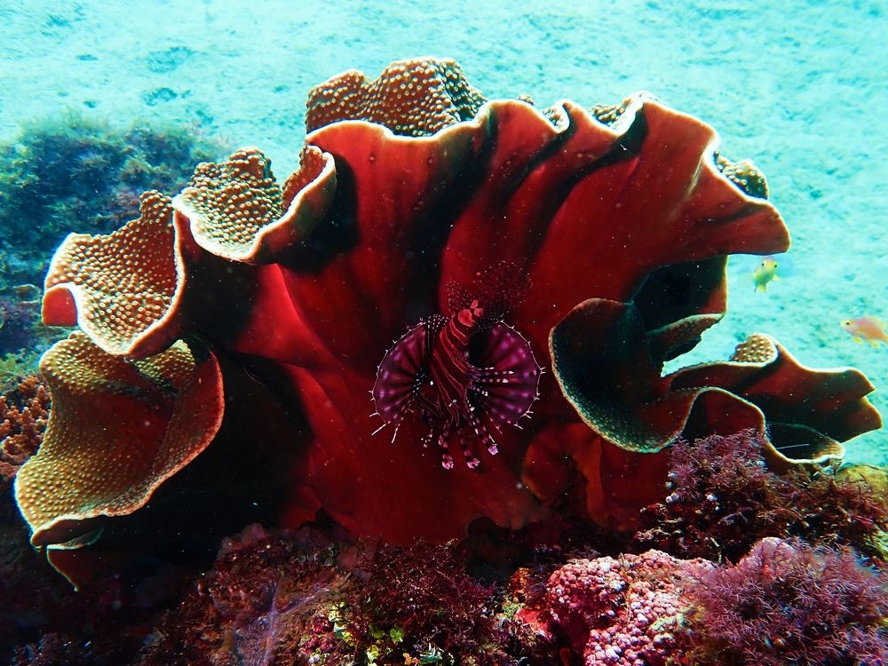 Photograph by Кирилл Леднев