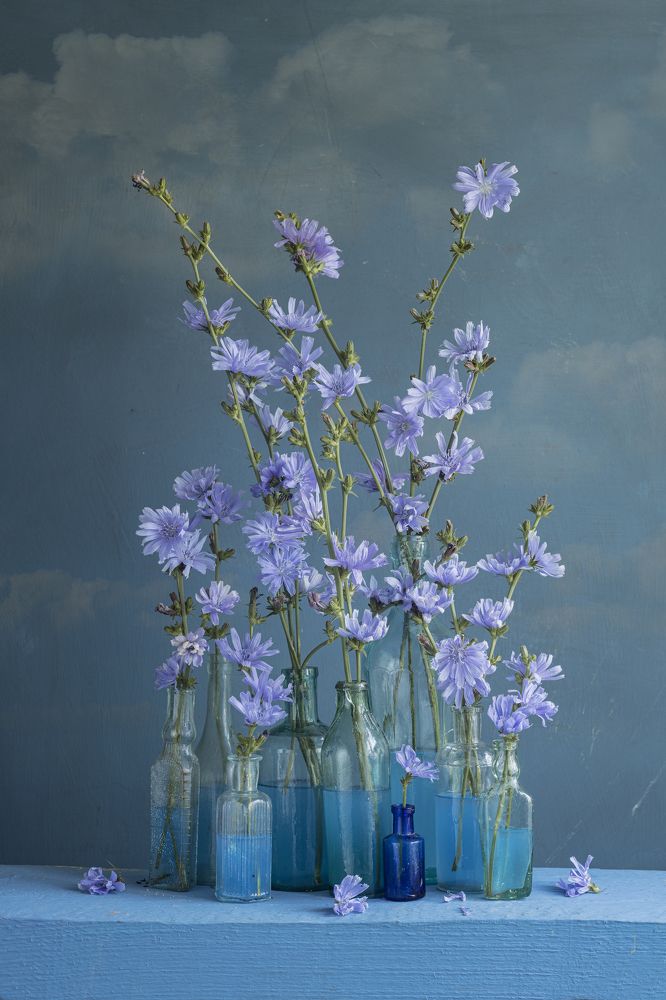 Фотография автора Вихрова Юлия