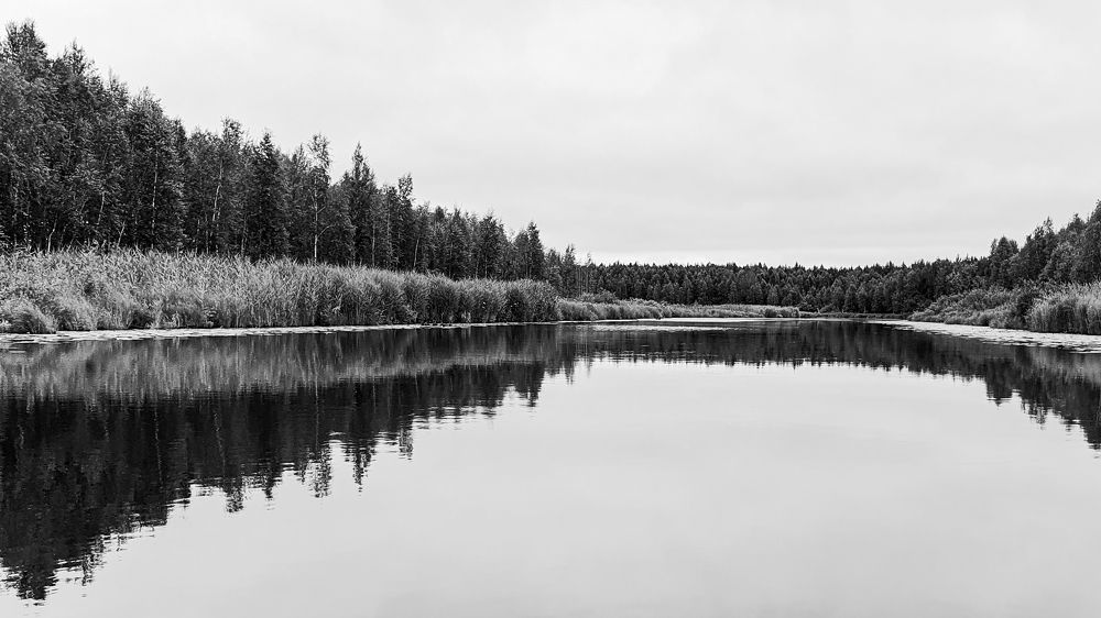 Photograph by Елена Рянцева