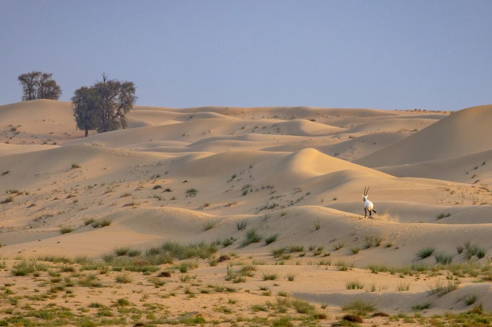 Photograph by Rémi Vacher