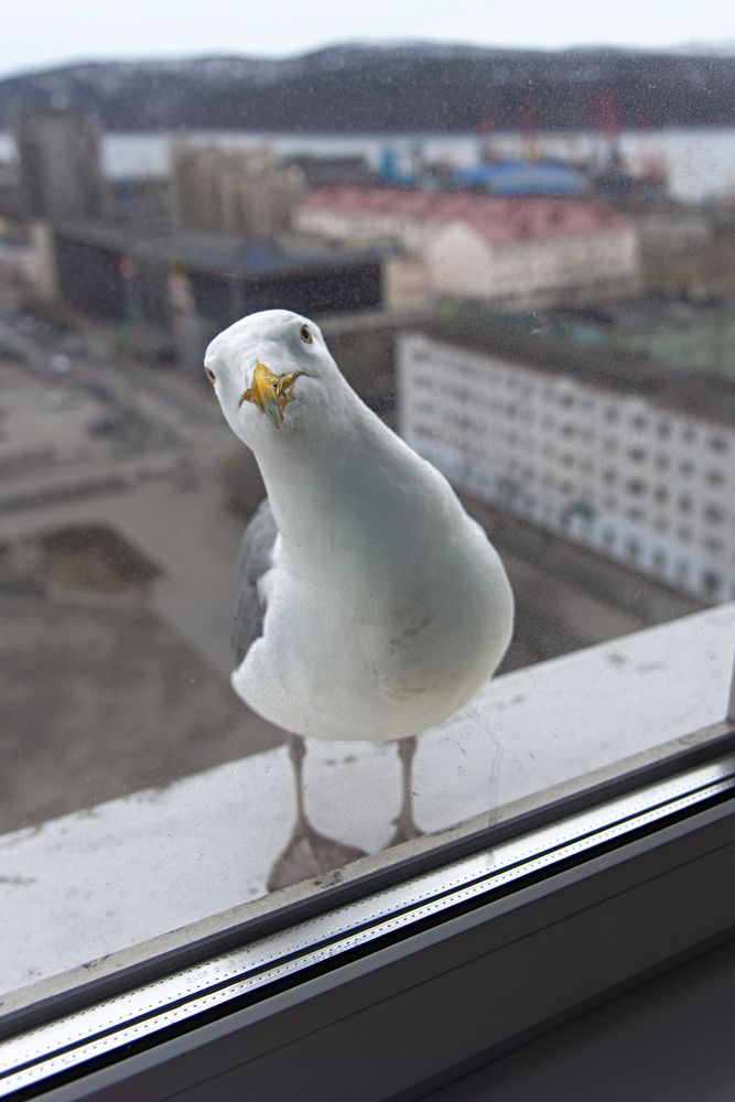 Photograph by Olga Akhmetova