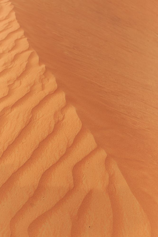 Photograph by Анна