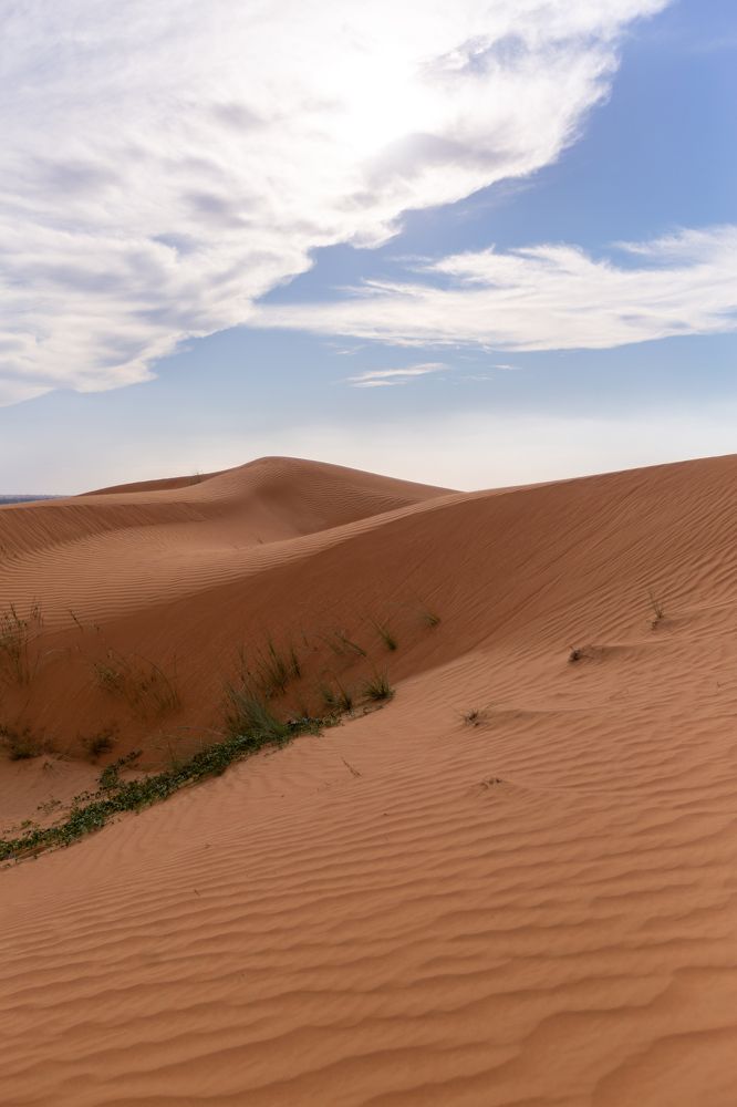 Photograph by Анна