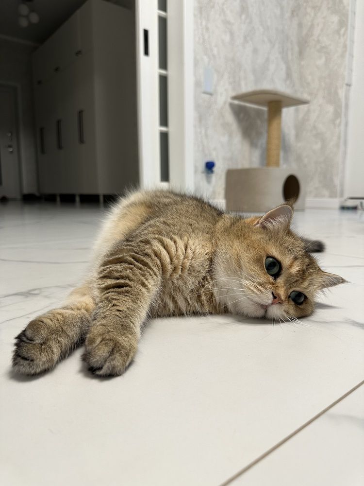 Photograph by Наталья Берон