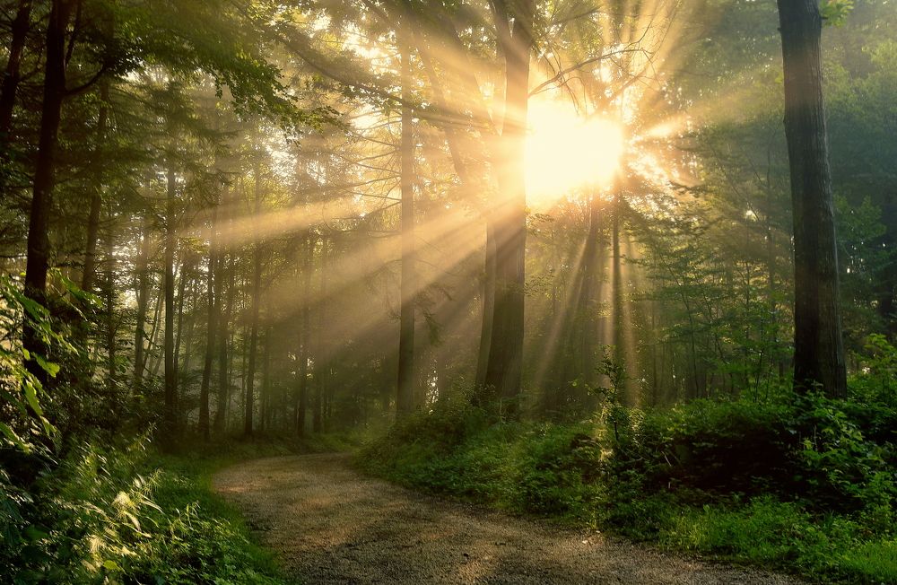 Photograph by Wymann Elena