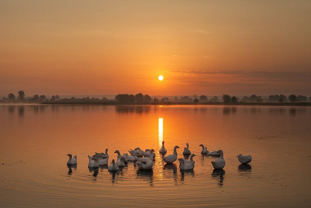 Рассвет на озере