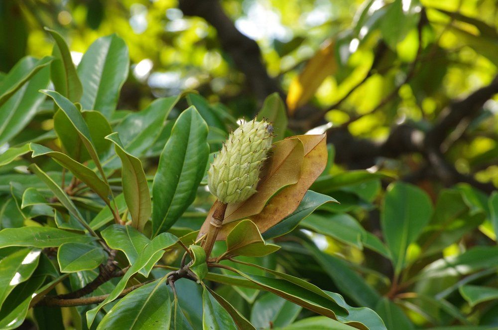 Photograph by Александр Русак