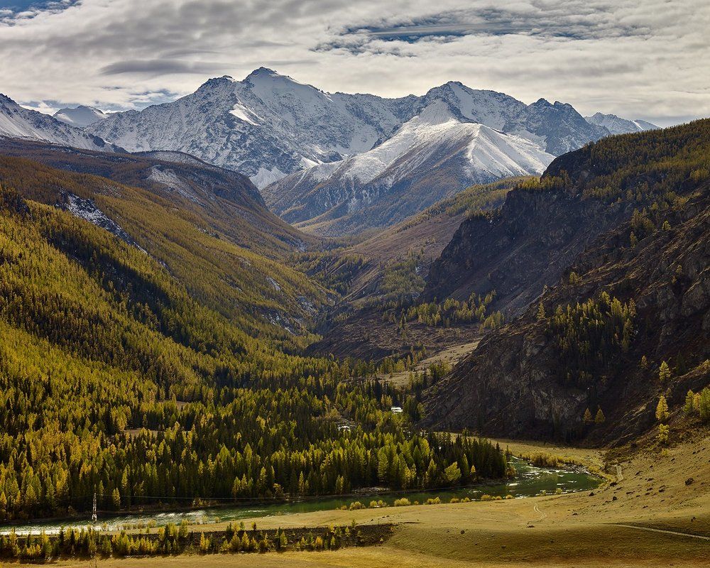 Golden Maashy Mountain