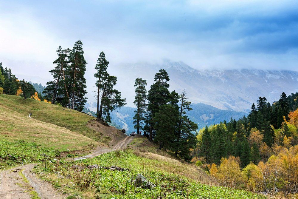 Photograph by Геннадий Оробей