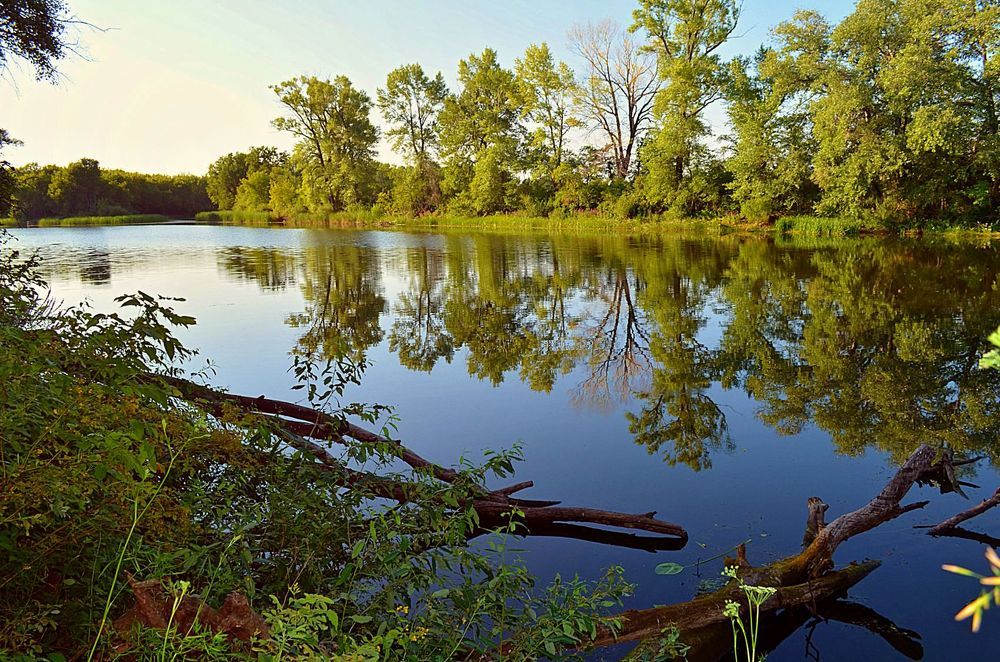 Летний день на озере.