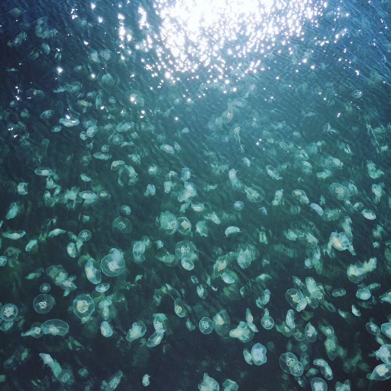 Александра, Russia