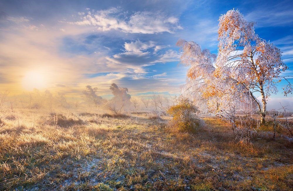 Заморозить Осень