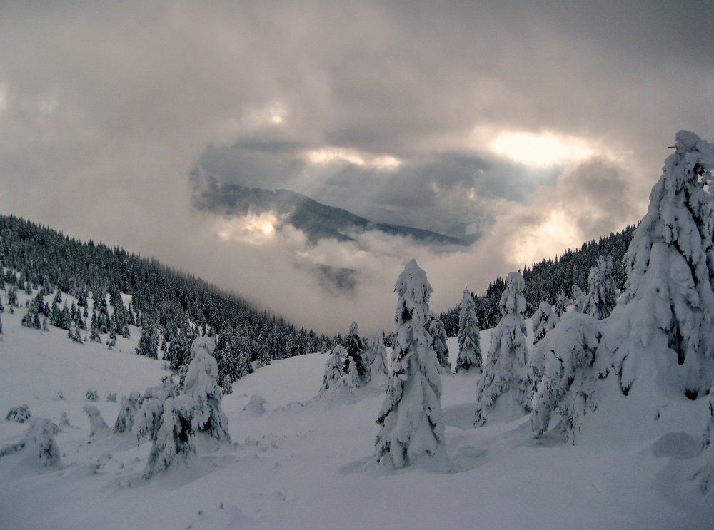 Зимний Петрос, Карпаты