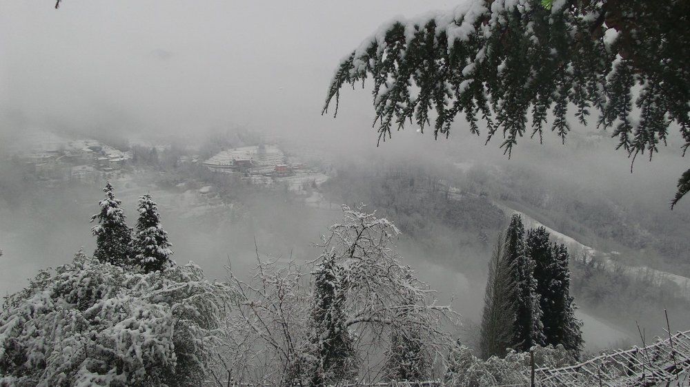 Первый снег