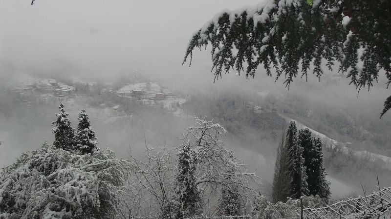 Olessia Plyashko, Italy