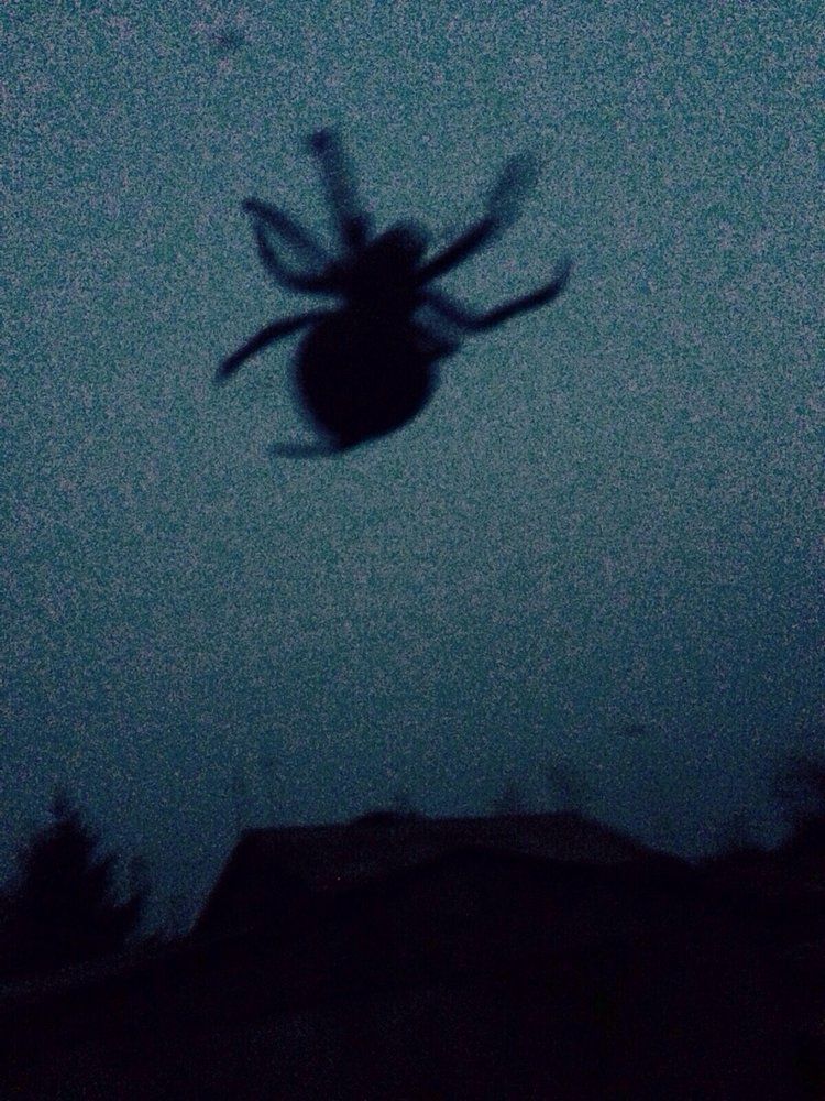 Photograph by Юлия