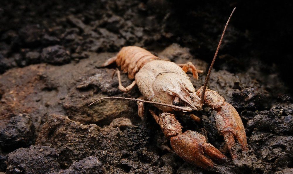 Photograph by Владислав