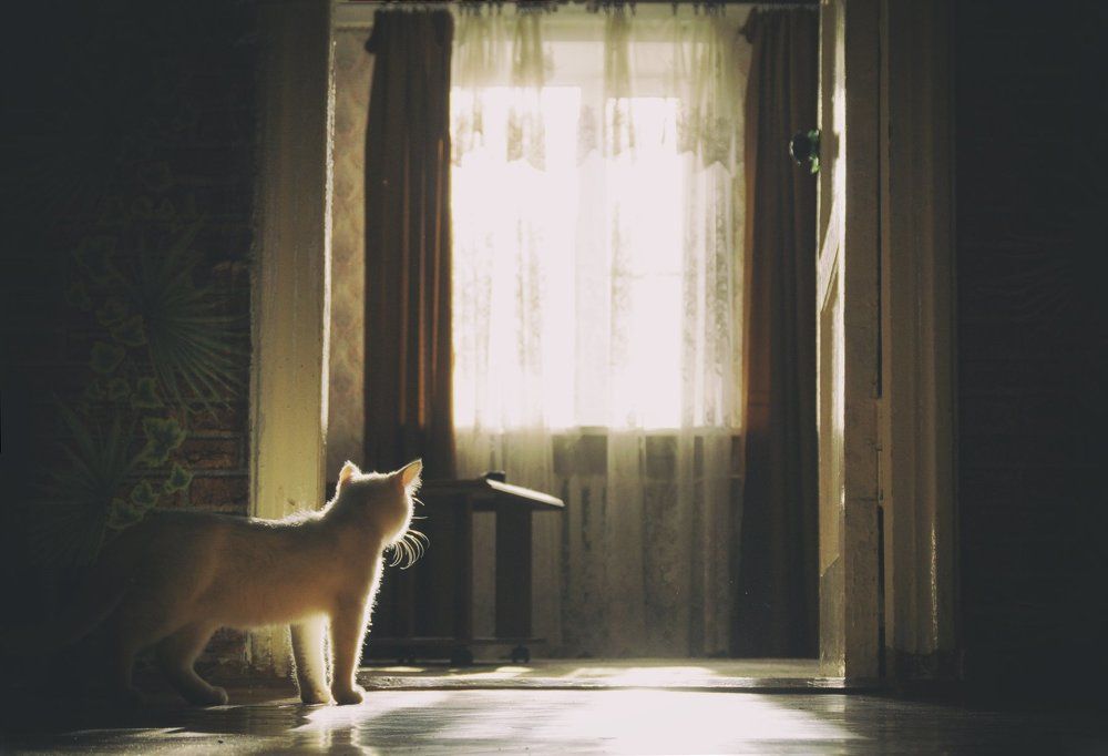 Photograph by Владислав