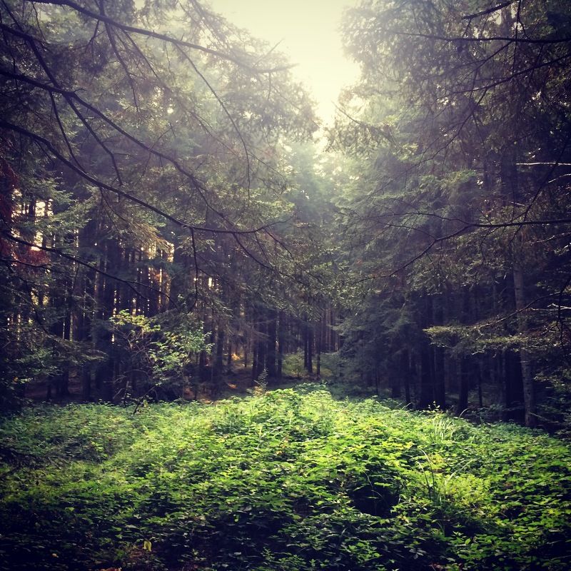 Максим, Ukraine